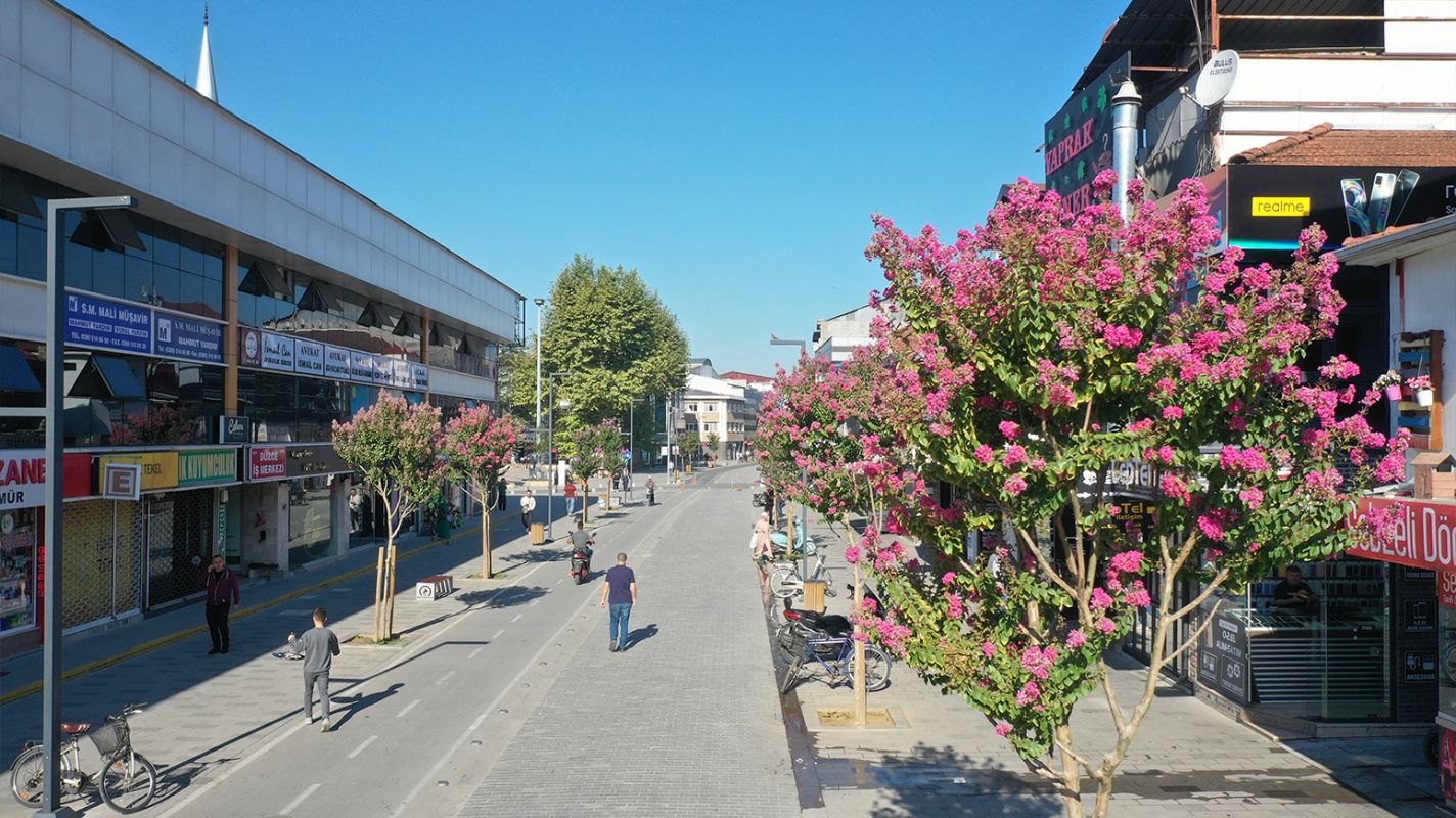 Kent Estetiği Projesi